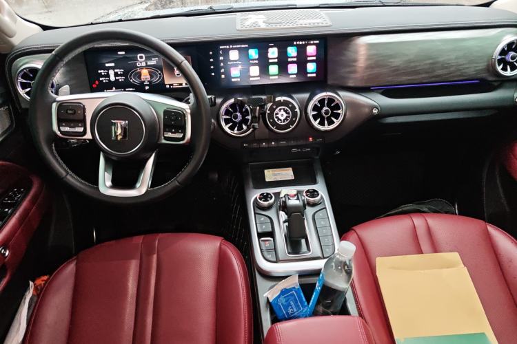 Used Tank 300 2024 2.0T Conqueror