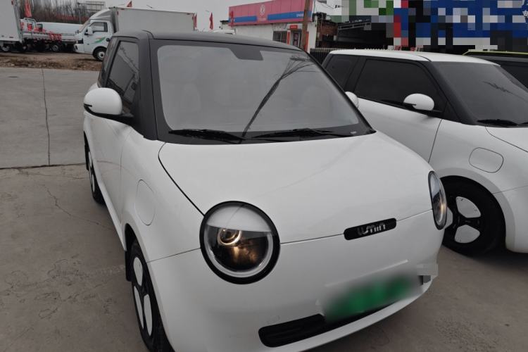 Used Qiyuan Lumin 2023 205km Xiangqin Version