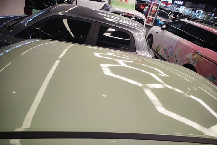 Used ORA White Cat 2020 305 km Luxury Version
