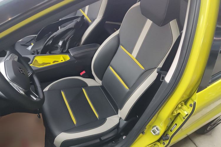 Used SOL E10X 2022 Flower Fairy Design Four-Leaf Clover
