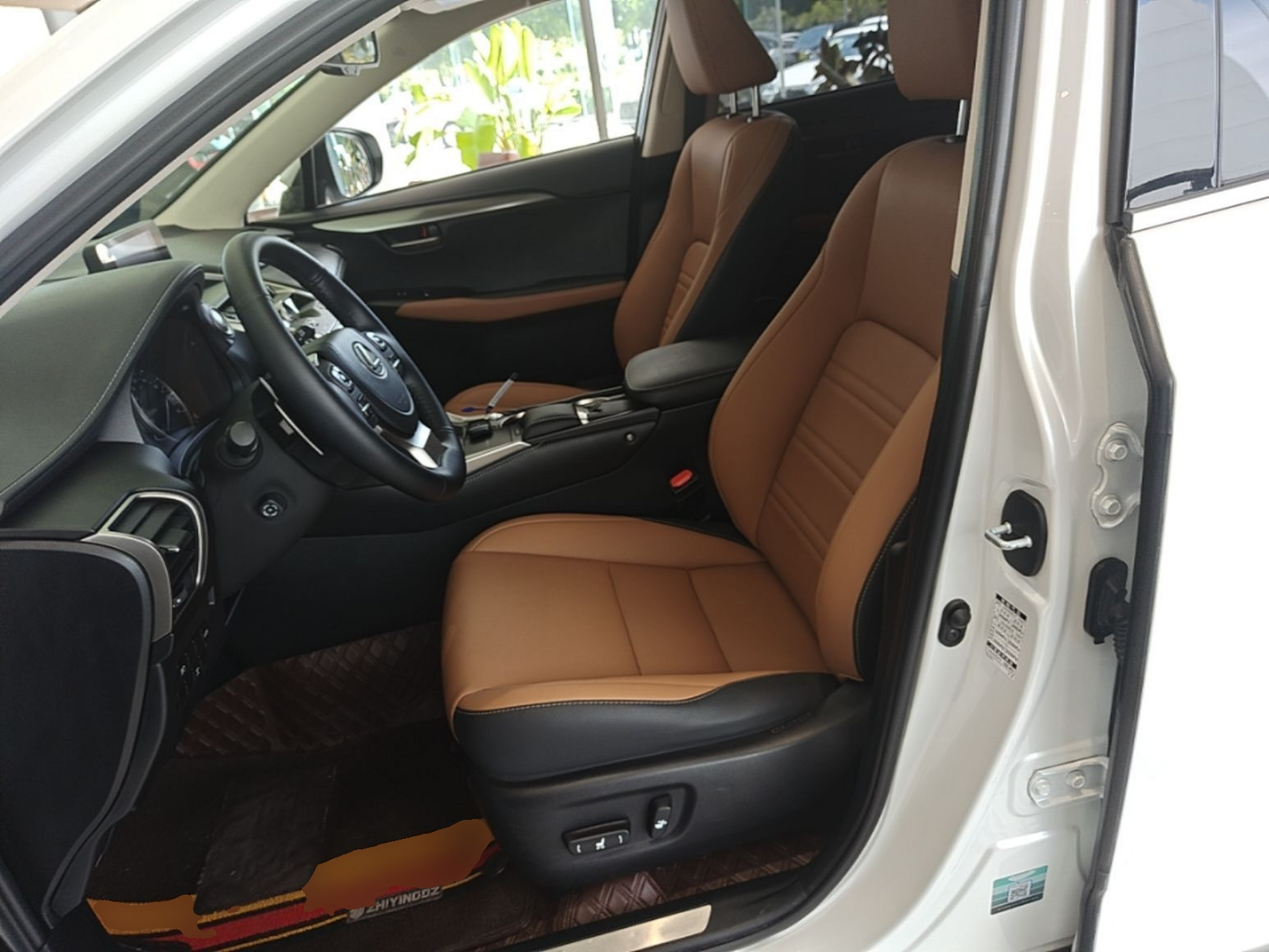 Interior delantero