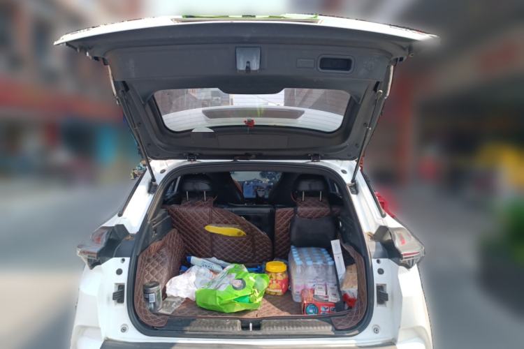 Used NETA X 2023 400