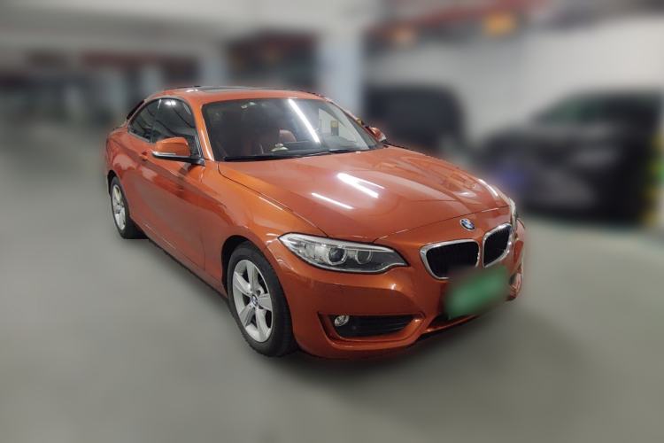 Used BMW 2 Series 2014 220i Leading Model