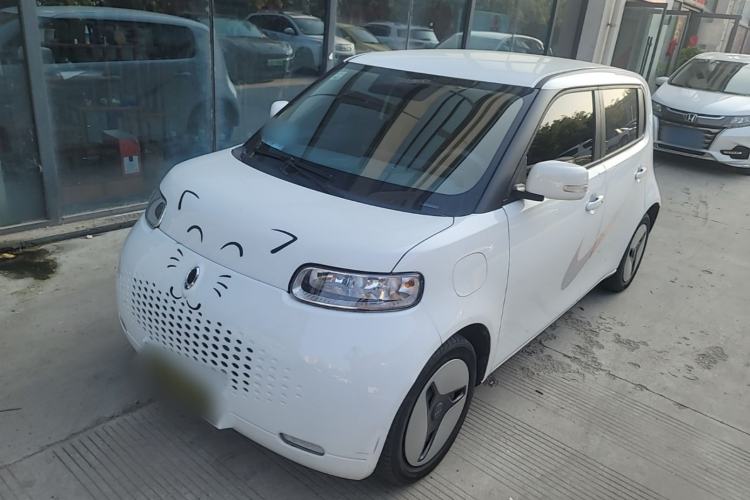 Used ORA White Cat 2020 305 km Luxury Version