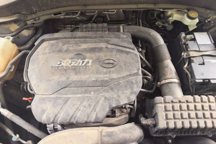 Used GAC Trumpchi GS8 2024 Linghang Series 2.0 TGDI Two-Wheel Drive Luxury Smart Connectivity Version
