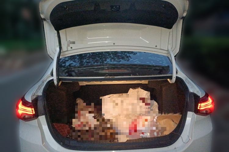 Used Chevrolet Cavalier 2021 325T Automatic Enjoyment Edition
