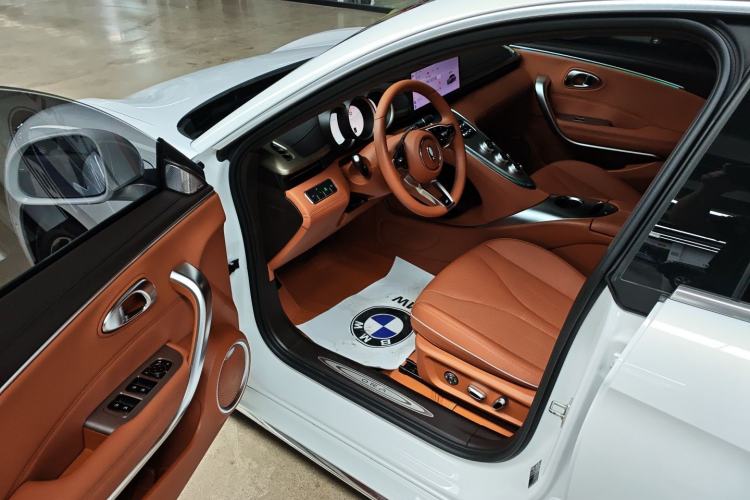 Used ORA Lightning Cat 2022 555 km Luxury Edition