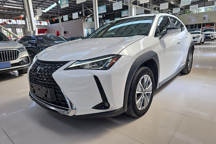 Used Lexus UX New Energy 2020 300e Pure·Joy Edition