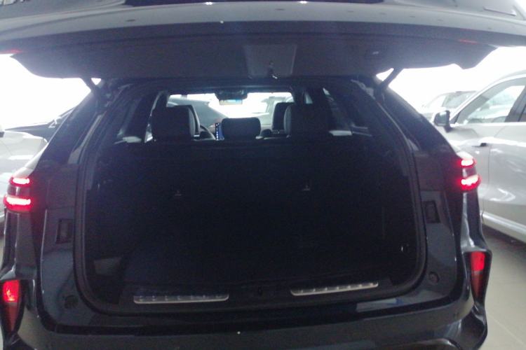 Used Wey Mocha New Energy 2024 Hi4 Four-Wheel Drive Long-Range Version