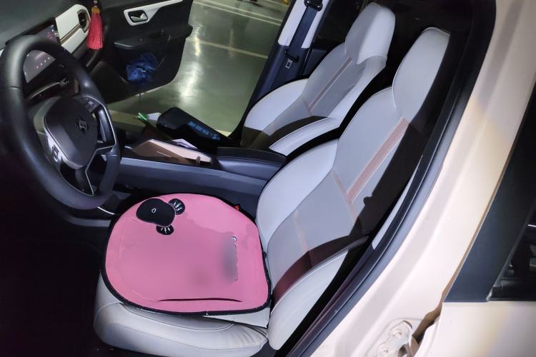 Used SOL E10X 2022 Flower Fairy Design Four-Leaf Clover
