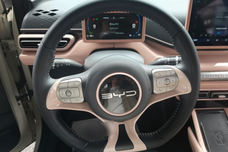 Used BYD Seagull 2023 Free Edition Steering Wheel