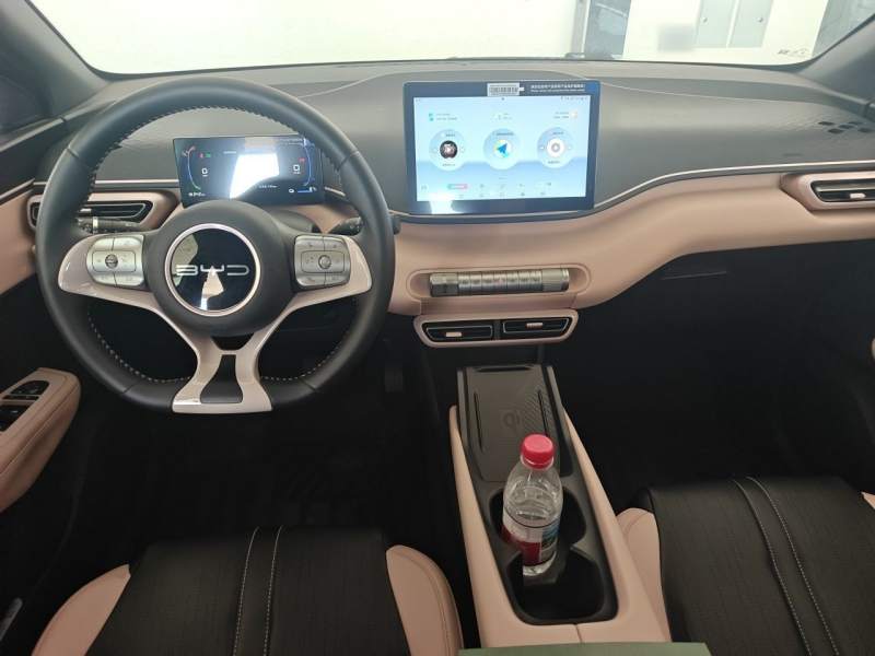 Used BYD Seagull 2023 Free Edition — 10