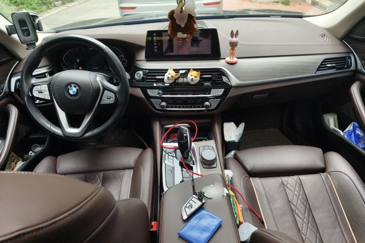 Used BMW 5 Series New Energy 2020 530Le Pioneer Edition
