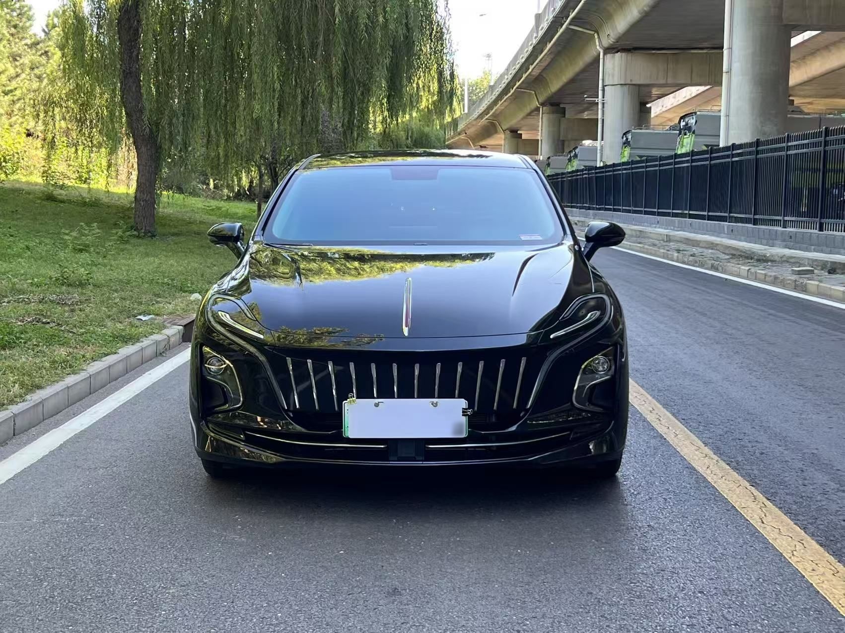Hongqi E-QM5 2023 620km PLUS — снимка 13
