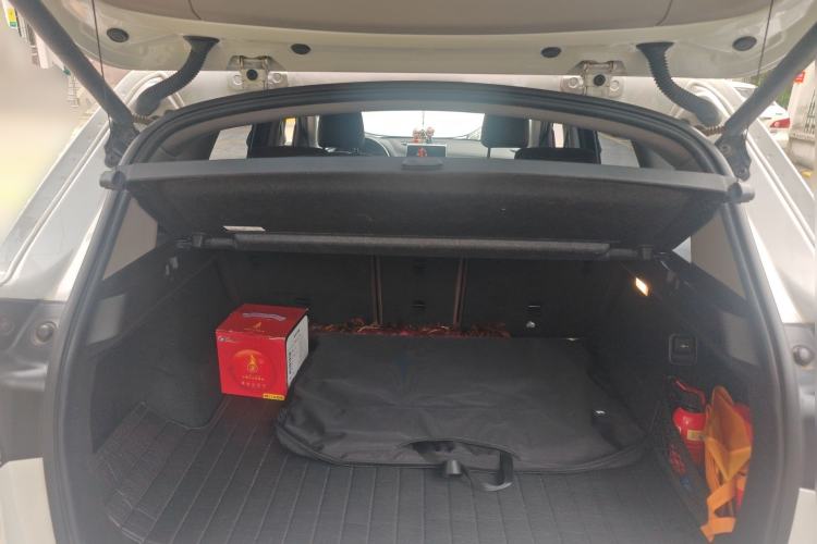 Used BMW X1 2016 xDrive20Li Luxury Model Trunk