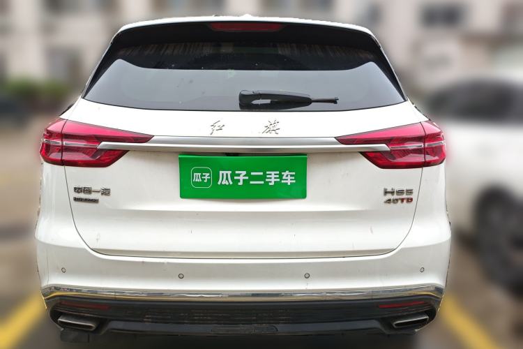 Used Hongqi HS5 2019 2.0T Smart Connect Flagship All-Wheel-Drive Version Rear