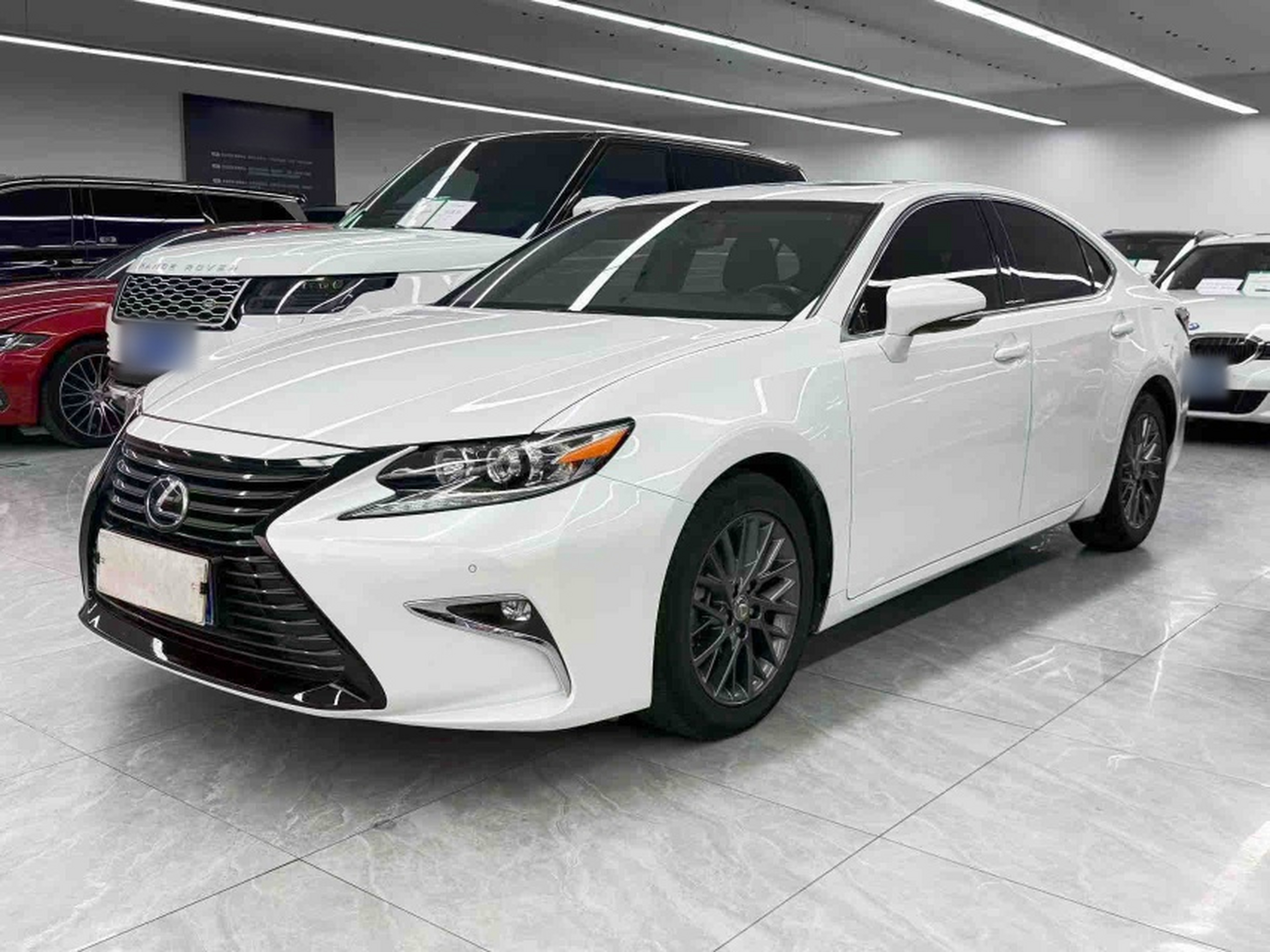 Under Front Bumper