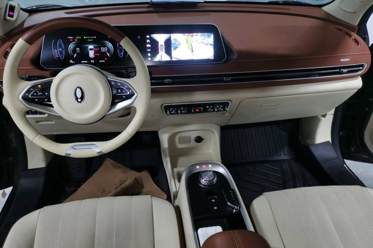 Used ORA Good Cat 2022 Morandi Edition 400km Standard Range Premium Version Lithium Iron Phosphate
