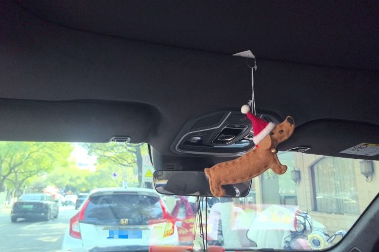 Used Geely Auto Monjaro L 2021 2.0TD DCT EVO Two-Wheel Drive Prestige Version