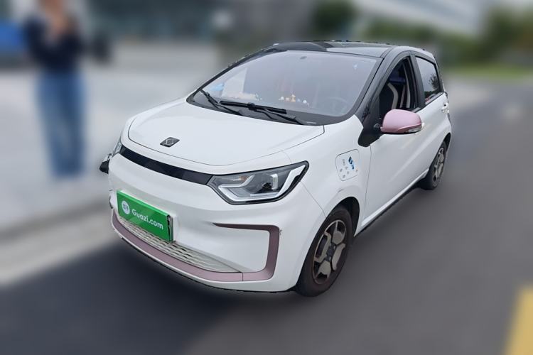 Used SOL E10X 2022 Flower Fairy Style Baby's Breath