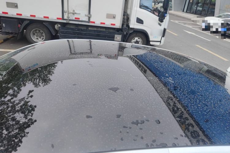 Used XPeng P7 2020 670N Roof