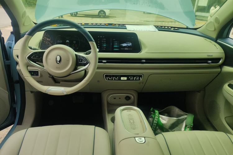 Used ORA Good Cat 2023 401 km Standard Range Luxury Version Lithium Iron Phosphate
