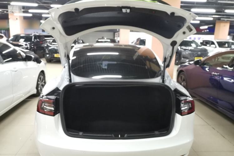 Used Tesla Model 3 2019 Standard Range Rear-Drive Upgraded Version