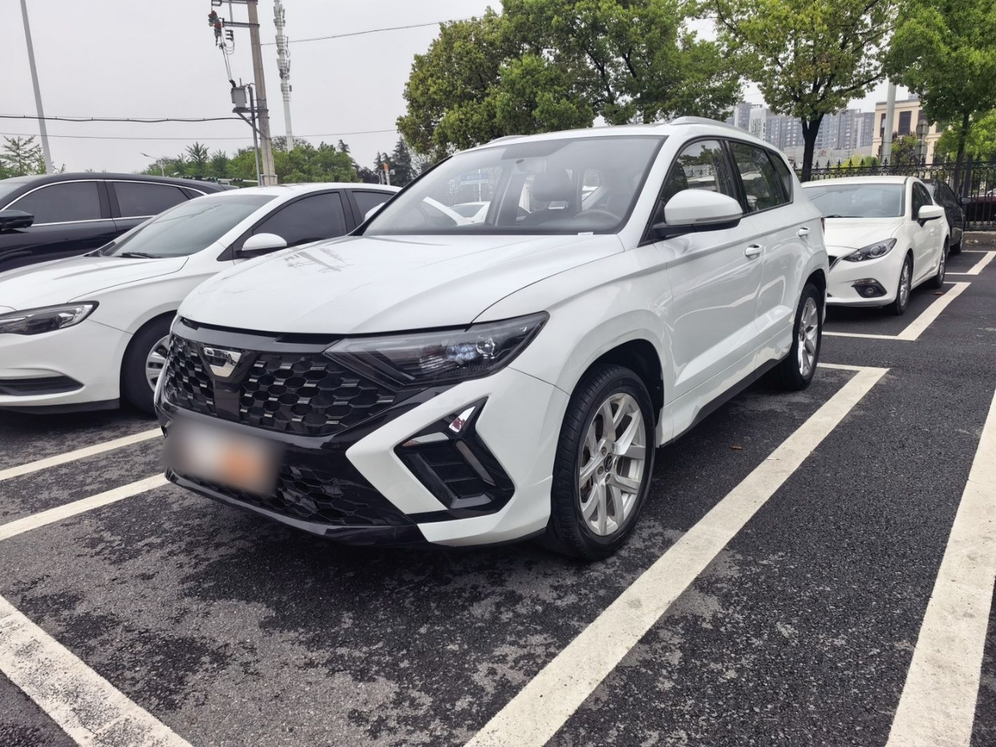 Parte inferior delantera