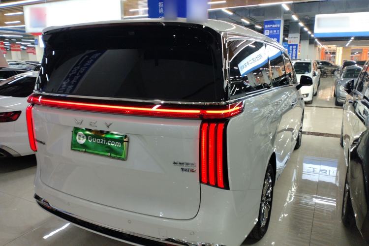 Used Wey Gaoshan 2025 Four-Wheel Drive Alpine 8
