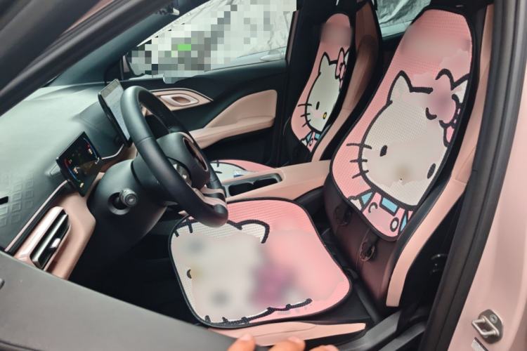 Used BYD Seagull 2023 Free Edition Left Front Seat