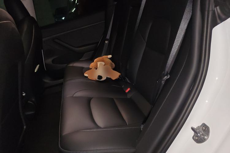 Used Tesla Model 3 2022 Rear-Wheel-Drive Version