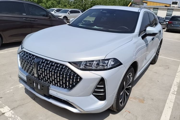 Used Wey Mocha 2021 2.0T Four-Wheel Drive Premium Edition