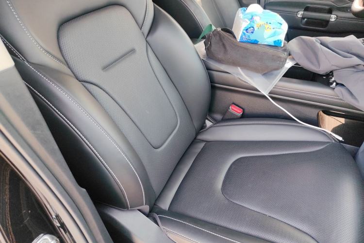 Used Tank 300 New Energy 2025 Hi4-T Right Front Seat