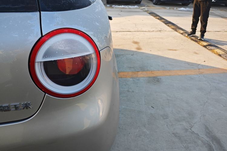 Used Qiyuan Lumin 2023 205km Xiangqin Version
