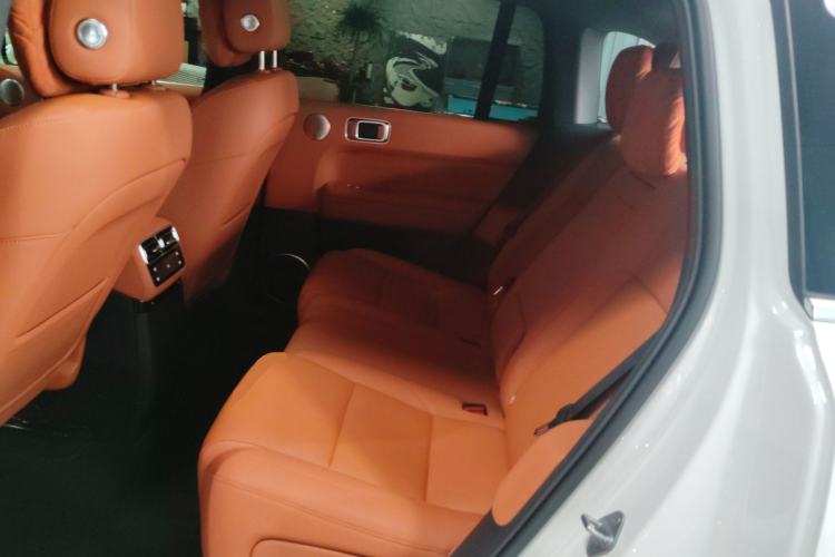 Used Li Auto L6 2024 Max Left Rear Seat