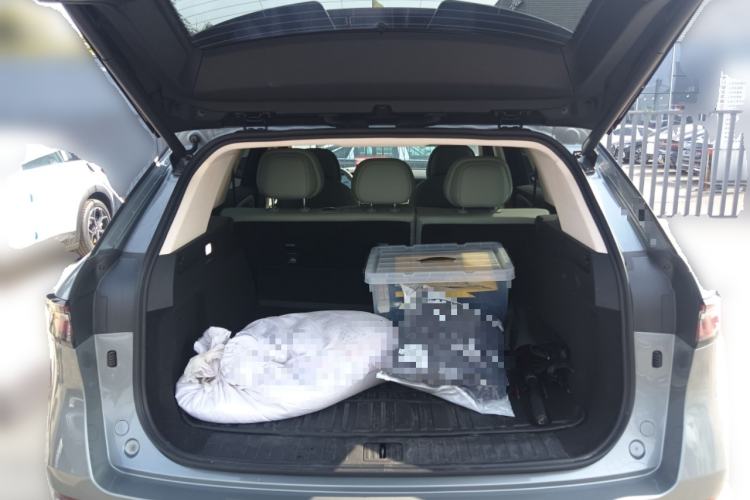 Used Chery Fengyun T10 2024 210 Luxury Edition