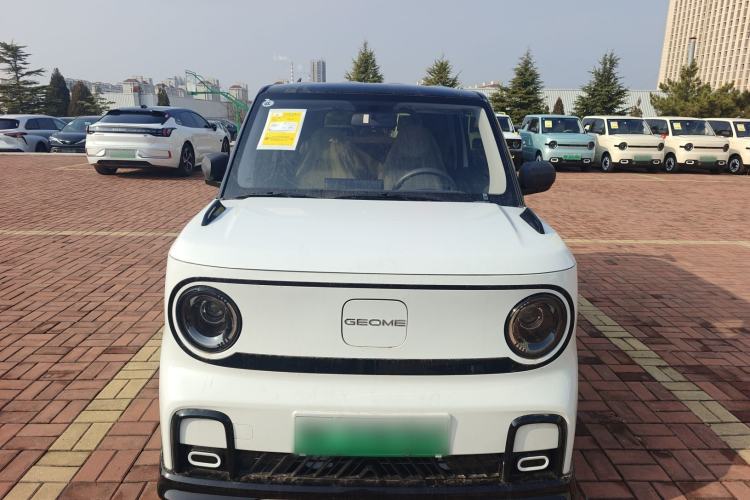 Used Geely Galaxy Panda 2025 210km Panda Kart