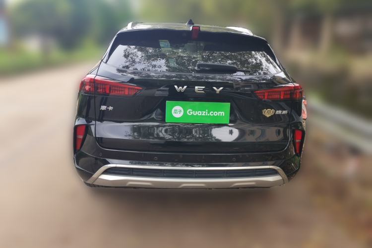 Used Wey Mocha 2021 2.0T Four-Wheel Drive Premium Edition
