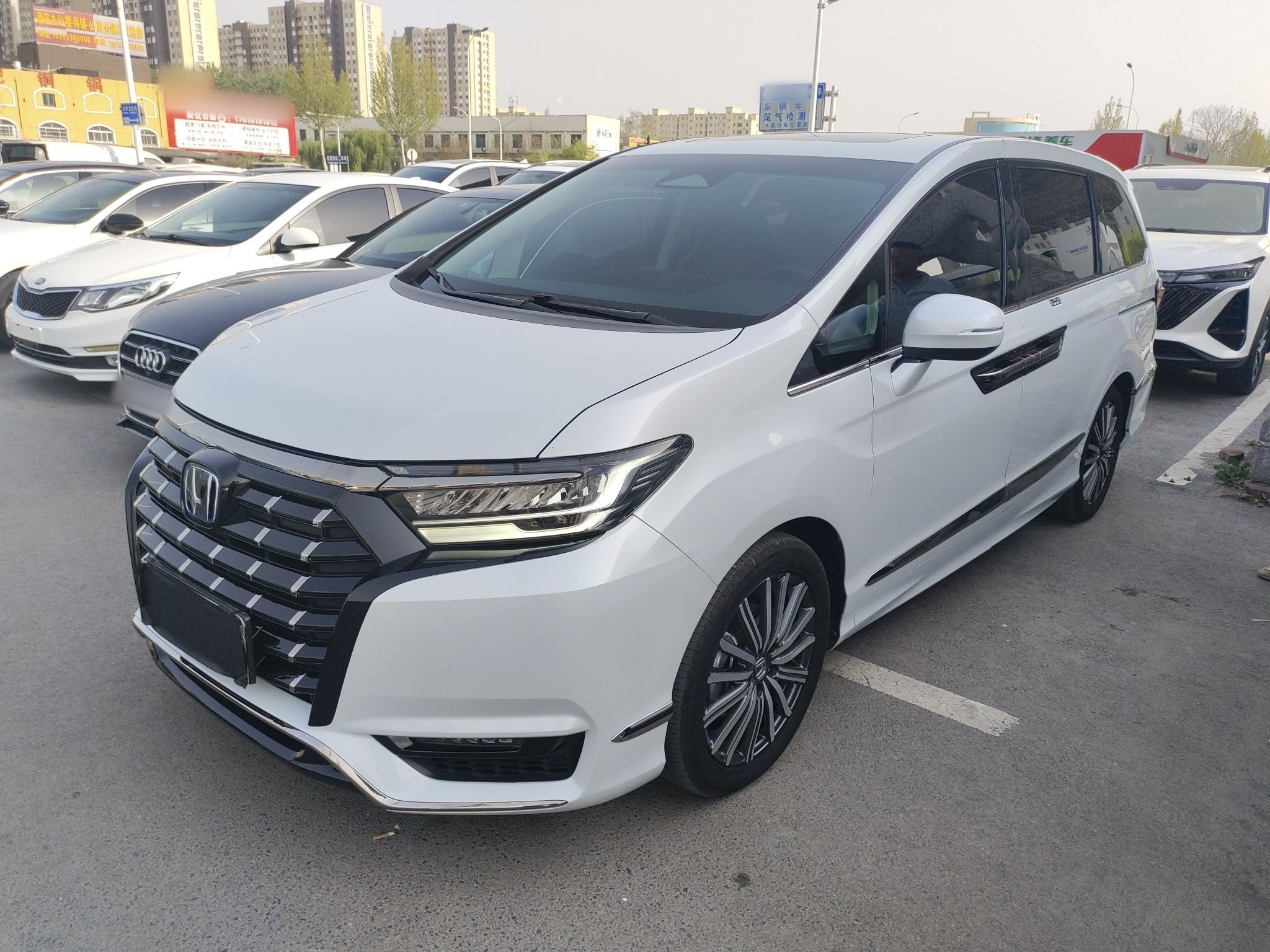 Parte inferior delantera