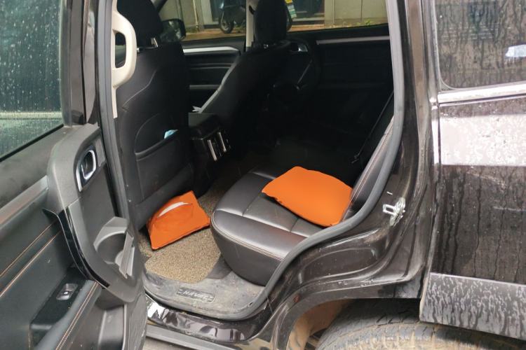 Used Haval DARGO 2021 2.0T DCT 4x4 Chinese Rural Dog Edition Left Rear Seat