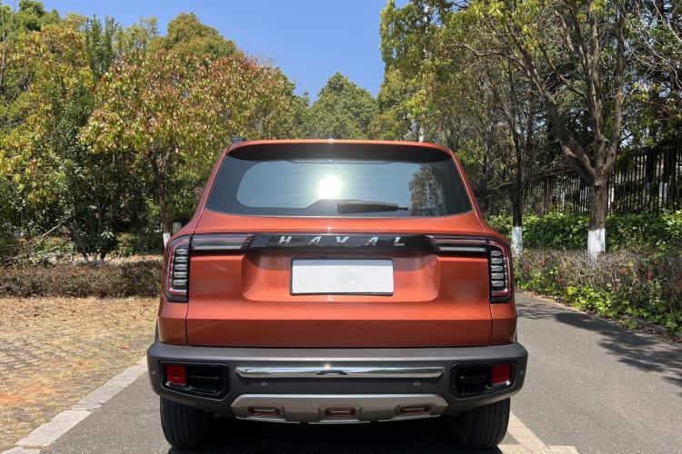 Used Haval DARGO 2021 2.0T DCT 4x4 Chinese Rural Dog Edition