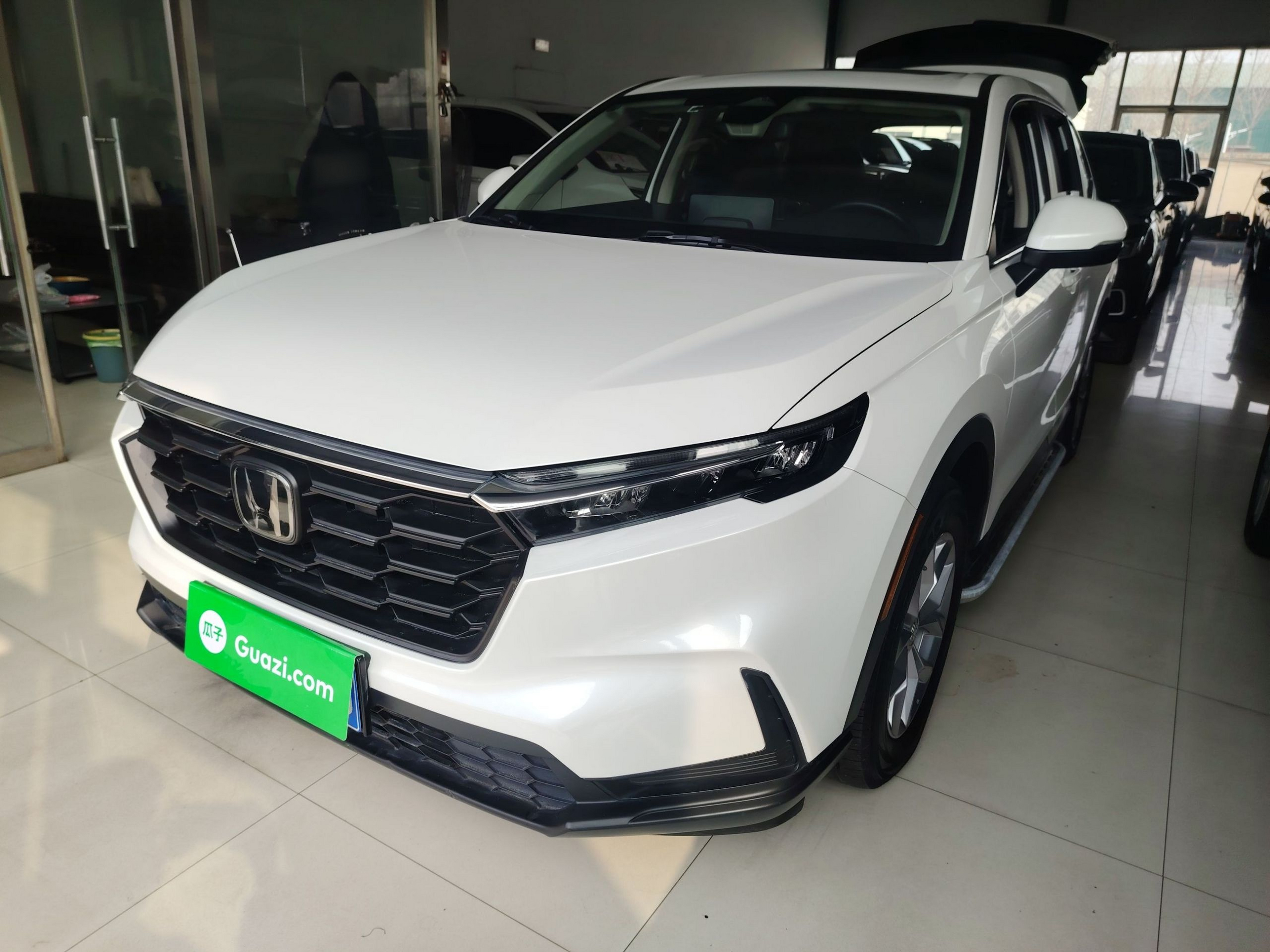 Under Front Bumper