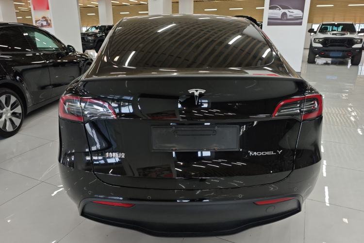 Used Tesla Model Y 2021 Standard Range Rear-Wheel Drive Version Rear