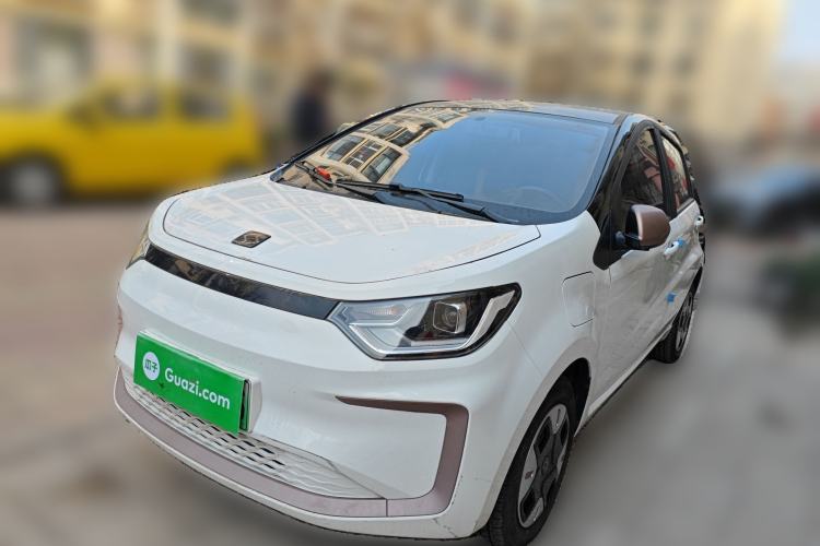 Used SOL E10X 2022 Flower Fairy Design Four-Leaf Clover