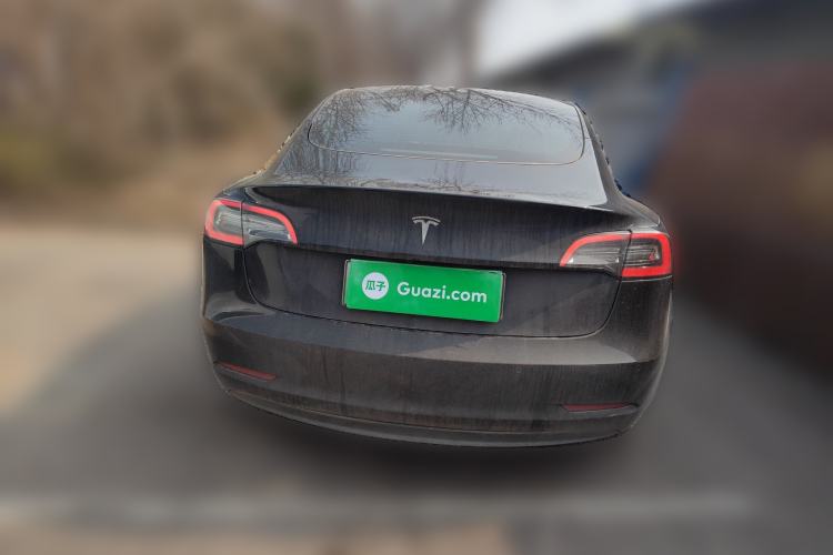 Used Tesla Model 3 2021 Standard Range Rear-Drive Upgraded Version

