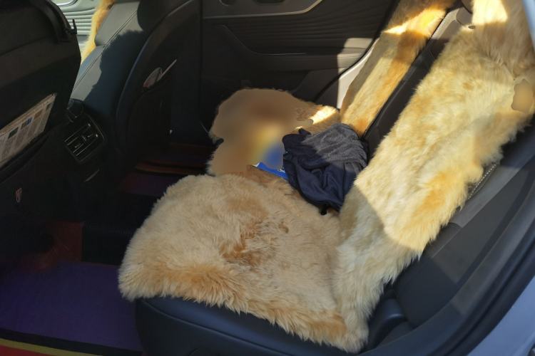 Used Hongqi HS5 2023 2.0T Qixiang Pro Edition Left Rear Seat