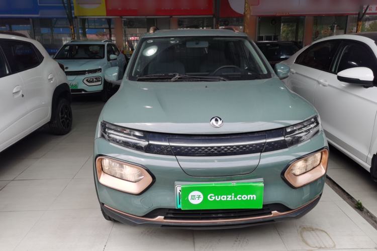 Used Dongfeng NAMMI EX1 2023 PRO Light Wind Edition Lightning Model