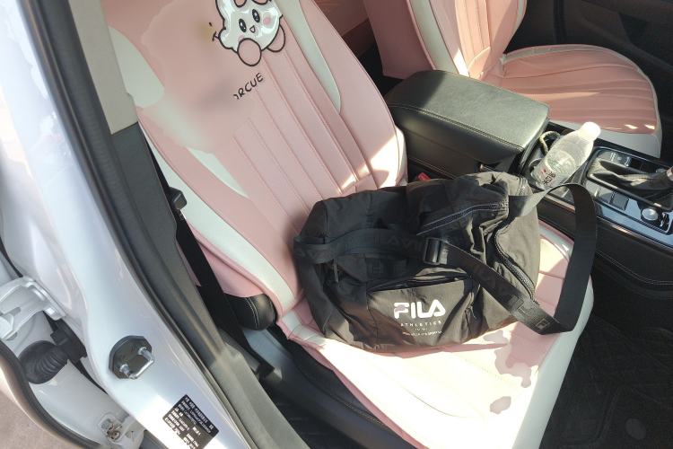 Used Hongqi H5 2019 30TD Dynamic Edition
