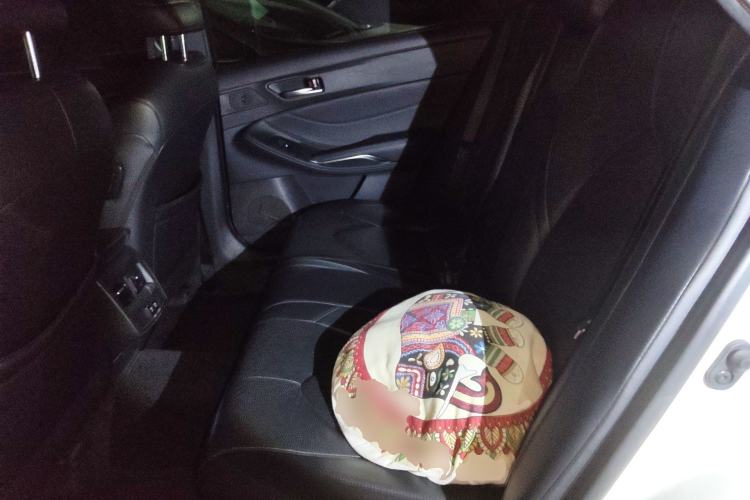 Used Toyota Avalon 2019 Dual-Engine 2.5L Luxury Edition China VI Standard Left Rear Seat