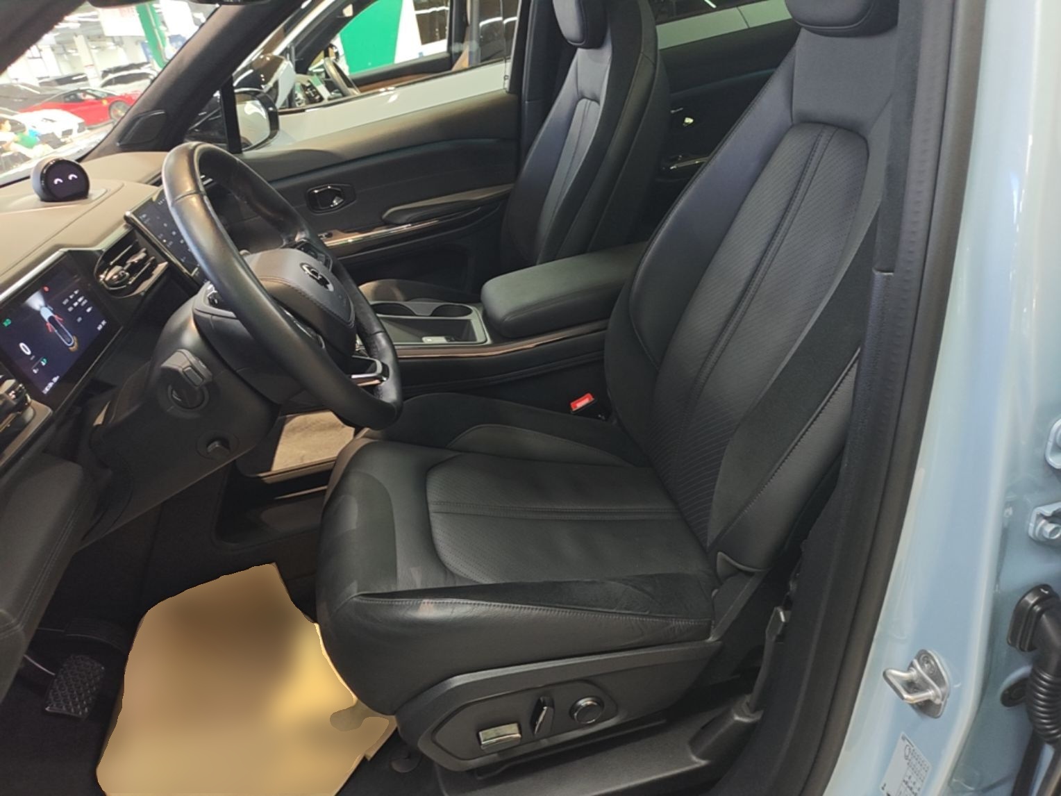 Interior delantero